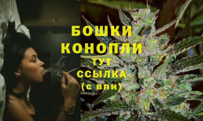 Конопля SATIVA & INDICA  гидра онион  Судогда 